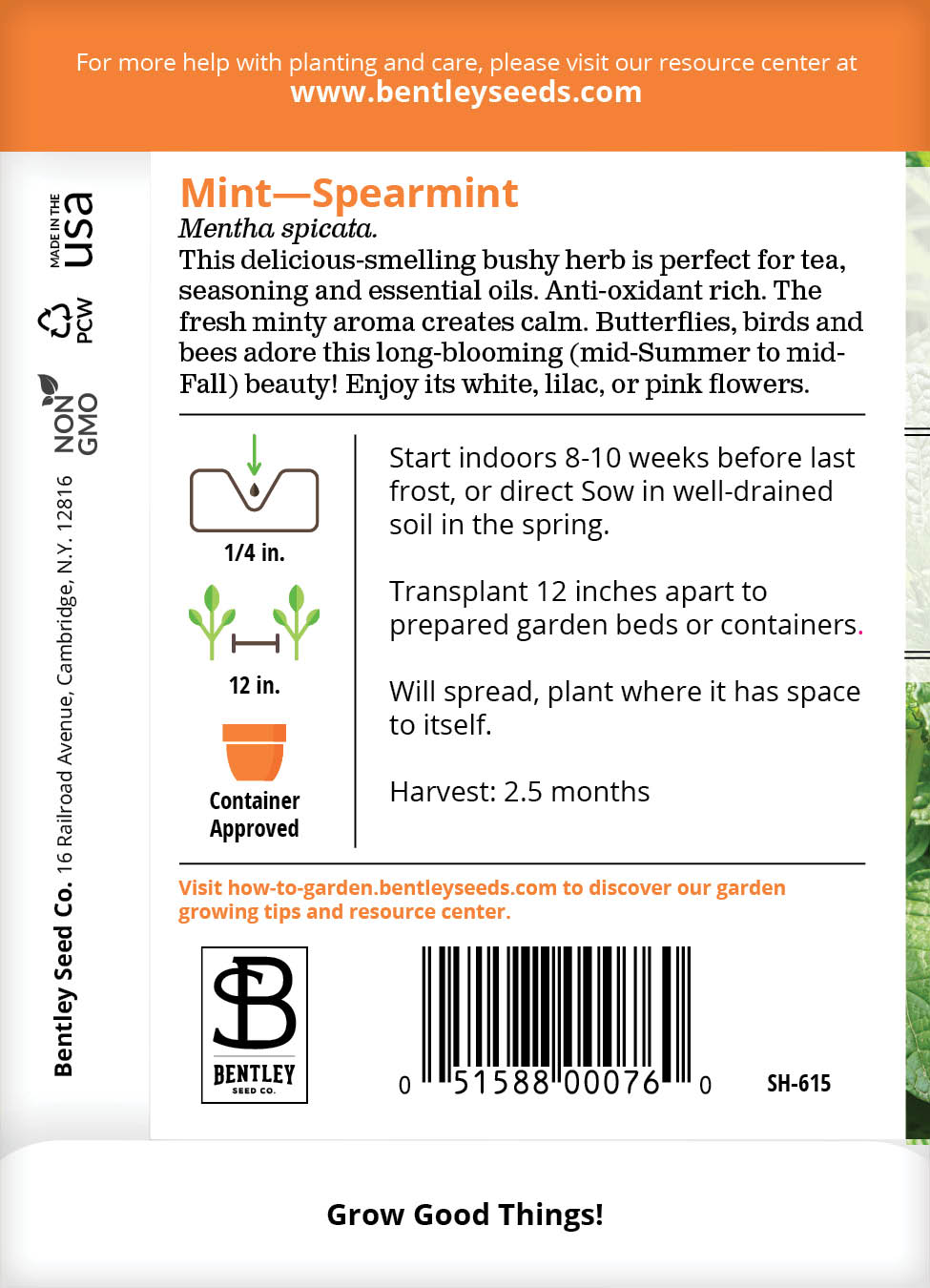 Mint, Spearmint Seed Packets - Bentley Seed