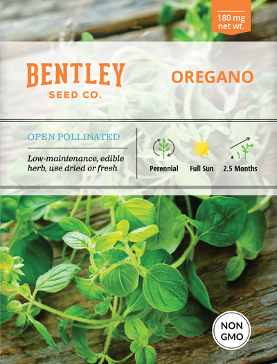 Oregano Seed Packets seed packet