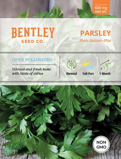 Parsley, Plain Italian Seed Packets seed packet