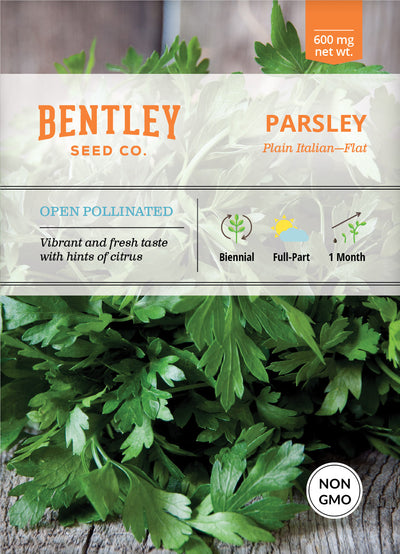 Parsley, Plain Italian Seed Packets seed packet