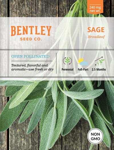 Sage, Broadleaf Seed Packets flower seeds