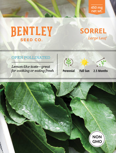 Sorrel Seed Packets seed packet