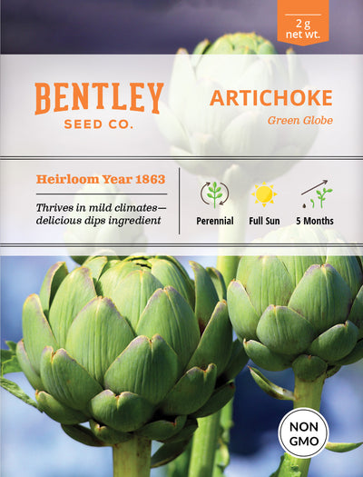 Artichoke, Green Globe Seed Packets seed packet