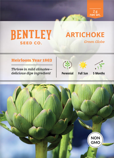 Artichoke, Green Globe Seed Packets seed packet
