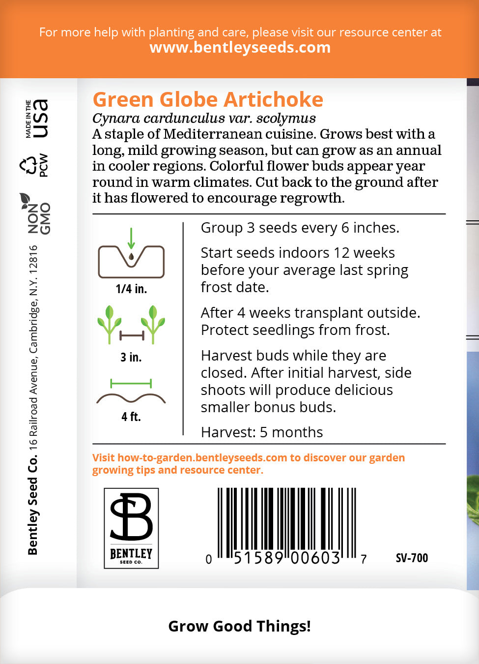 Artichoke, Green Globe Seed Packets seed packet