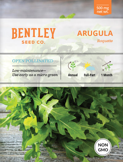 Arugula, Roquette Seed Packets seed packet
