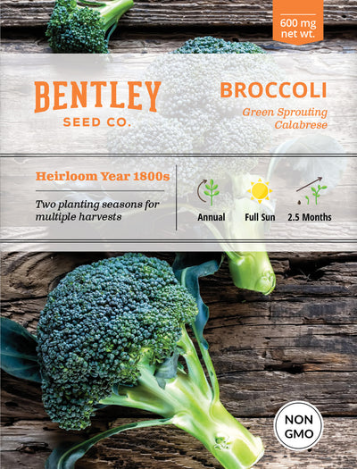 Broccoli, Green Sprouting Seed Packets flower seeds