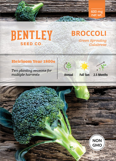 Broccoli, Green Sprouting Seed Packets flower seeds