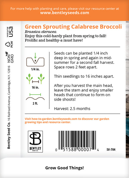 Broccoli, Green Sprouting Seed Packets | Bentley Seeds