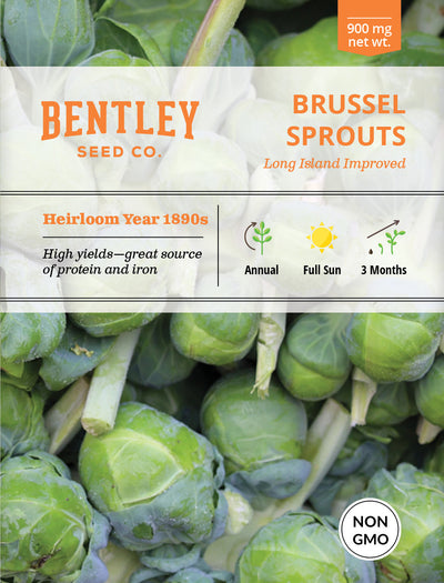 Brussel Sprouts, Long Island Seed Packets seed packet