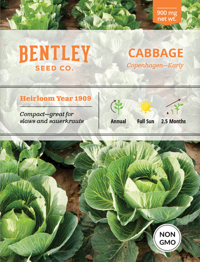 Cabbage, Copenhagen Early Seed Packets seed packet