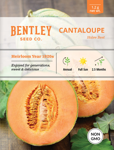 Cantaloupe, Hales Best Seed Packets flower seeds