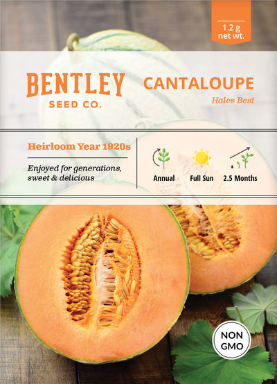Cantaloupe, Hales Best Seed Packets flower seeds