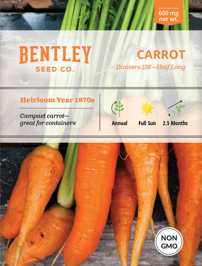 Carrot, Danvers Half Long Seed Packets garden seeds