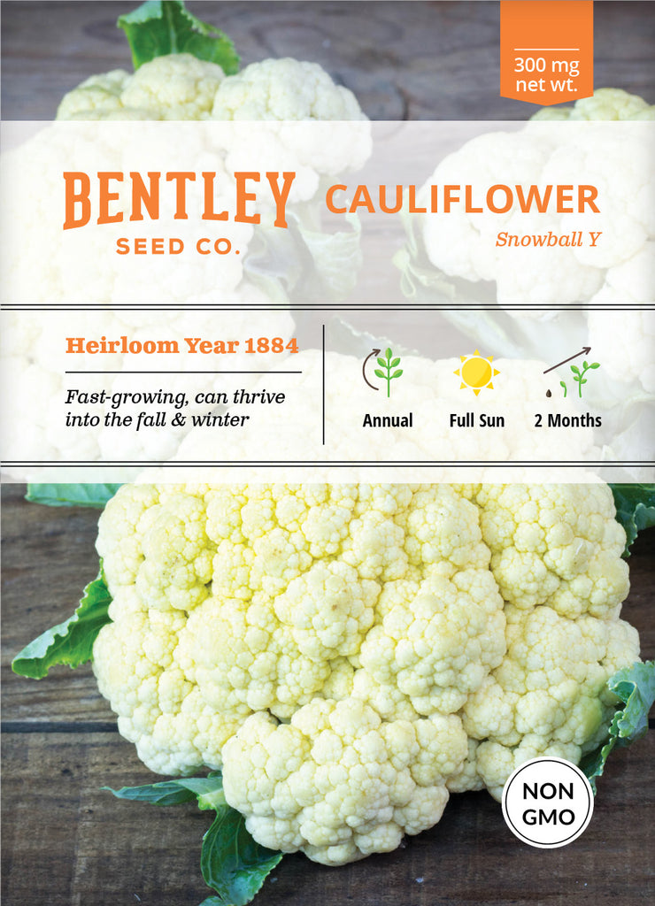 Cauliflower, Snowball Seed Packets