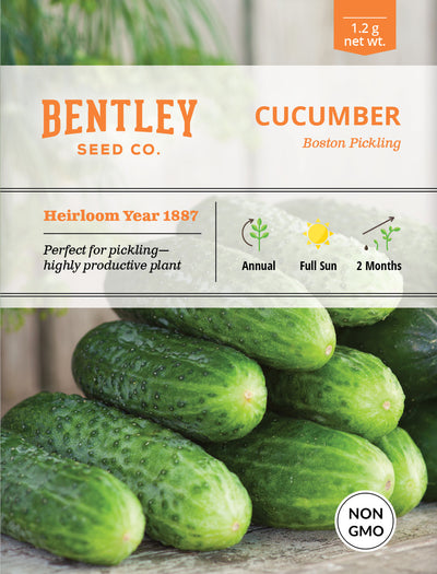 Cucumber, Boston Pickling Seed Packets garden seeds