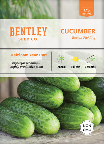 Cucumber, Boston Pickling Seed Packets