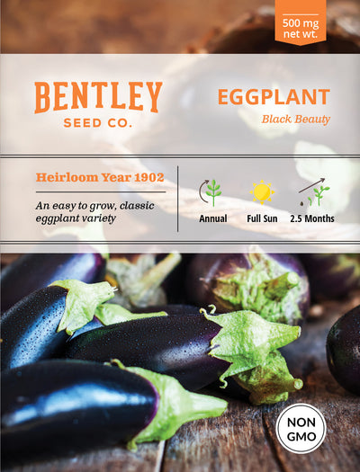 Eggplant, Black Beauty Seed Seed Packets garden seeds