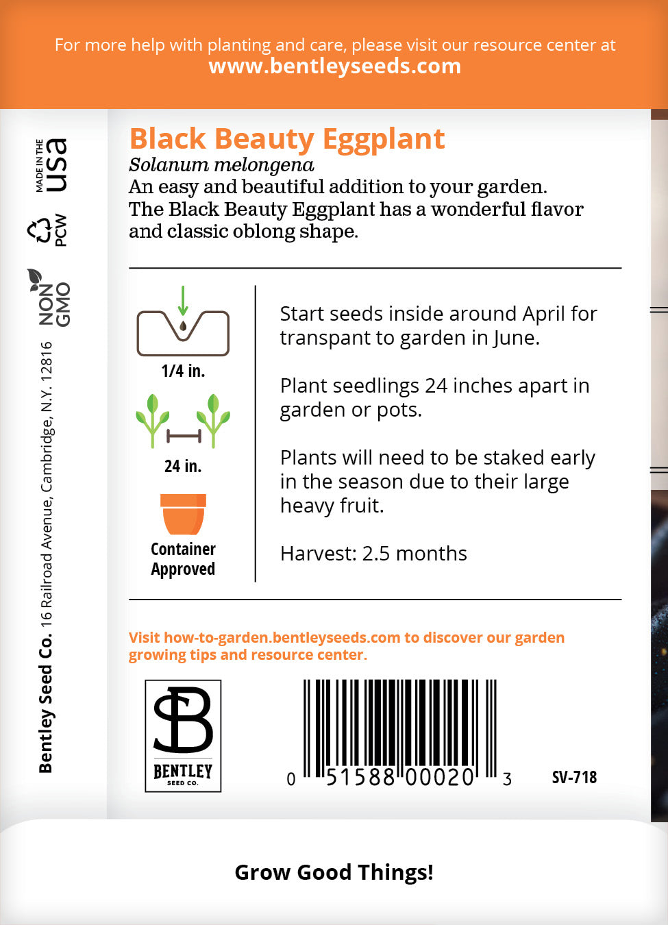 Eggplant, Black Beauty Seed Seed Packets | Bentley Seeds