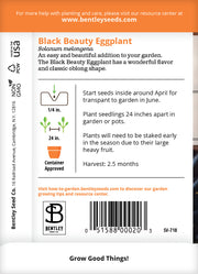 Eggplant, Black Beauty Seed Seed Packets garden seeds