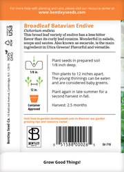 Endive, Broadleaf Batavian Seed Packets flower seeds