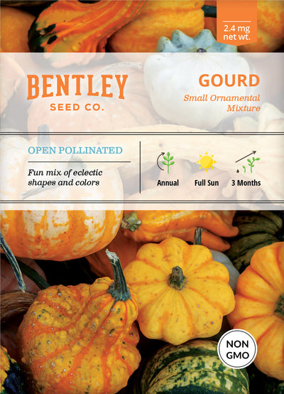 Gourds, Ornamental Mixed Seed Packets flower seeds