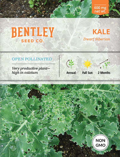 Kale, Dwarf Siberian Seed Packets flower seeds