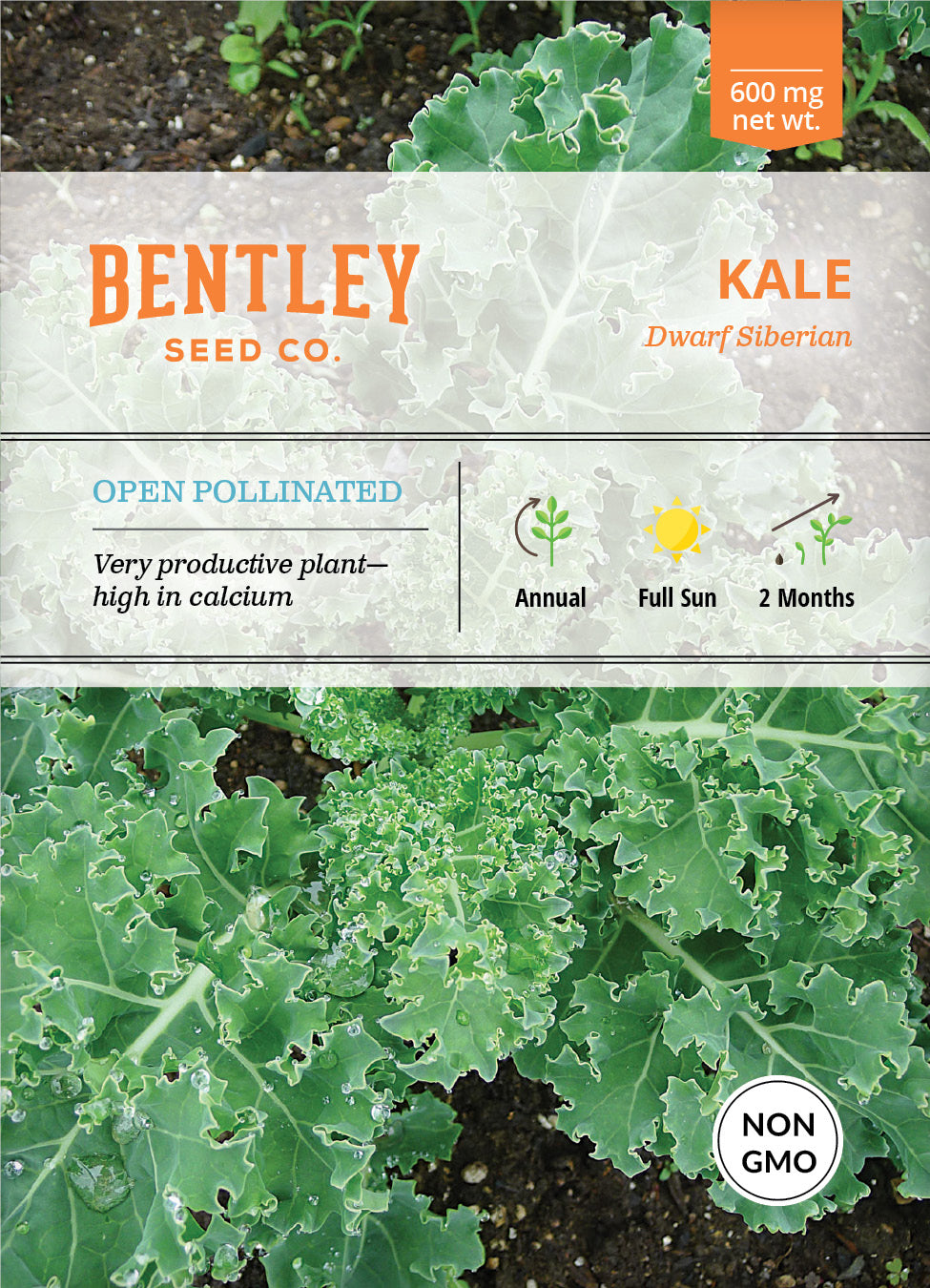 Kale, Dwarf Siberian Seed Packets flower seeds
