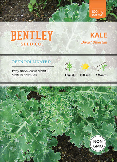 Kale, Dwarf Siberian Seed Packets flower seeds