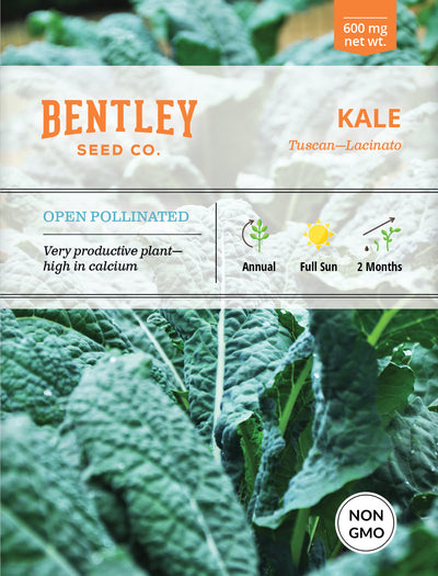 Kale, Lacinato Seed Packets seed packet