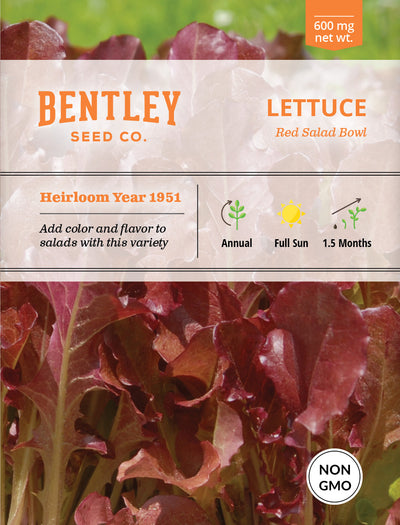 Lettuce, Red Salad Bowl Seed Packets flower seeds
