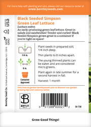Lettuce, Simpson's Curled Seed Packets garden seeds