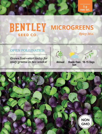 Microgreens, Spicy Mix Seed Packets flower seeds