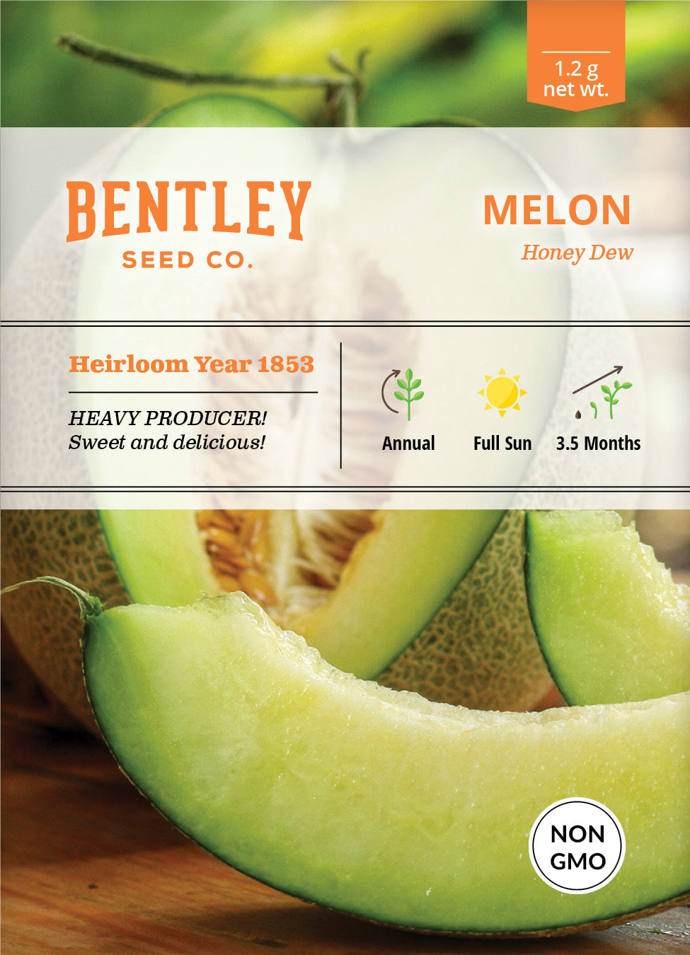 Honey Dew Green Flesh Melon Heirloom Seed