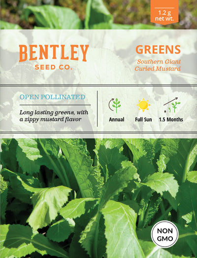Mustard, Southern Giant Curled India Seed Packets garden seeds