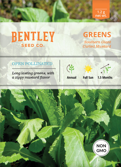 Mustard, Southern Giant Curled India Seed Packets garden seeds