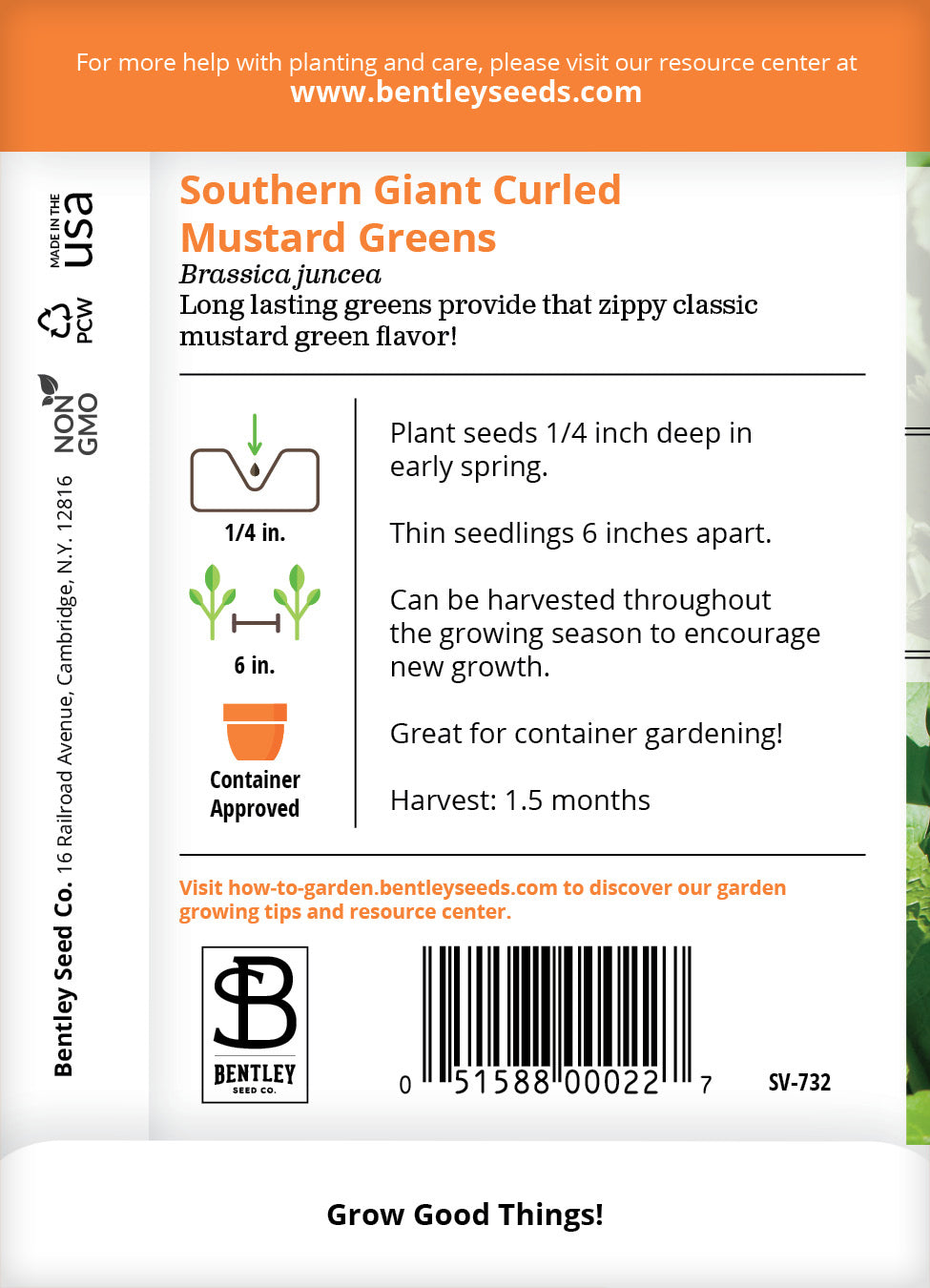 indian mustard seeds for planting Mustard, Southern Giant Curled India Seed Packets