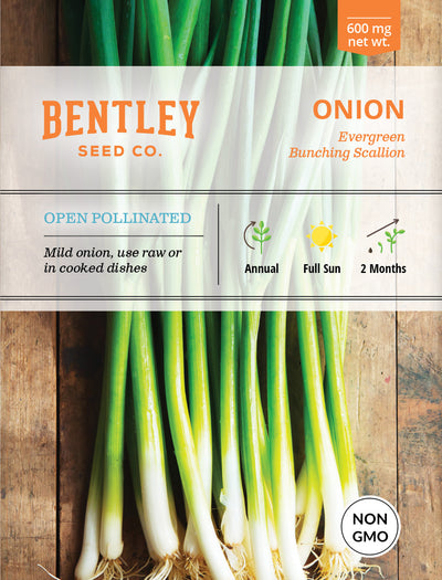 Onion, Evergreen Bunching Seed Packets flower seeds