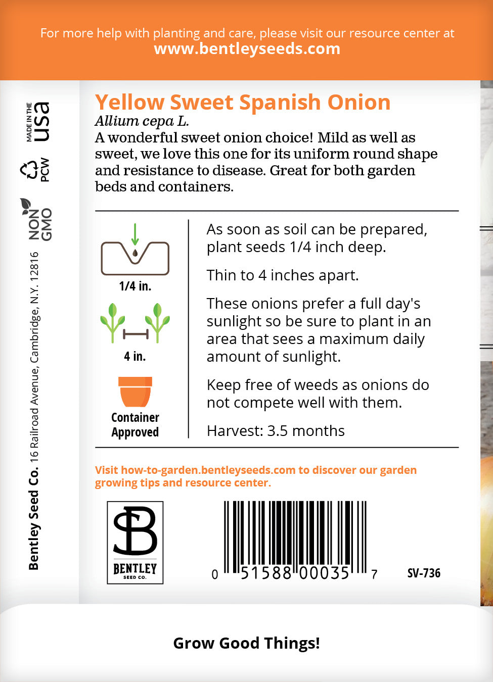 planting spanish onion seeds Onion, Yellow Sweet Spanish Seed Packets