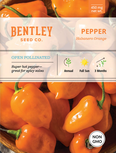 Pepper, Habanero Orange Seed Packets garden seeds