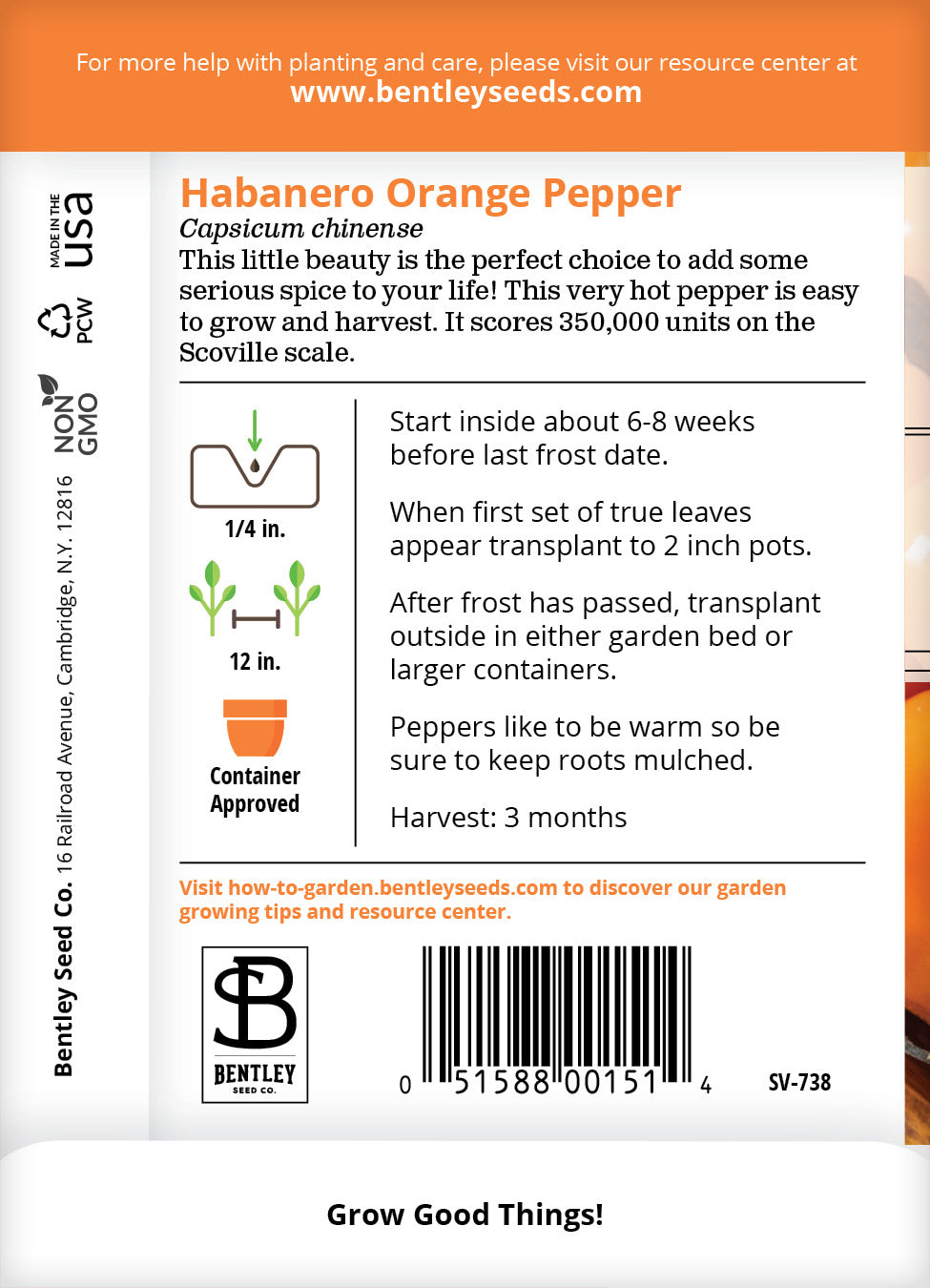 Pepper, Habanero Orange Seed Packets | Bentley Seeds