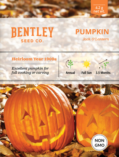 Pumpkin, Jack O' Lantern Seed Packets seed packet