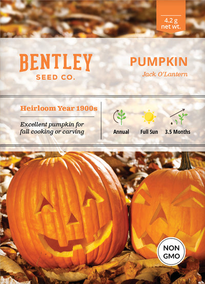 Pumpkin, Jack O' Lantern Seed Packets seed packet