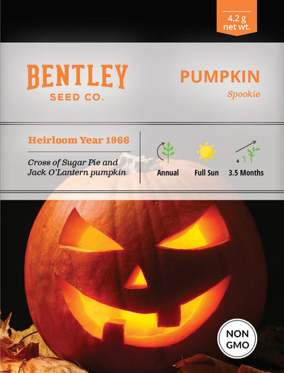 Pumpkin, Spookie Seed Packets flower seeds