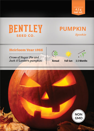 Pumpkin, Spookie Seed Packets flower seeds