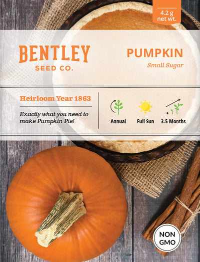 Pumpkin, Small Sugar Seed Packets seed packet