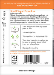 Pumpkin, Small Sugar Seed Packets seed packet