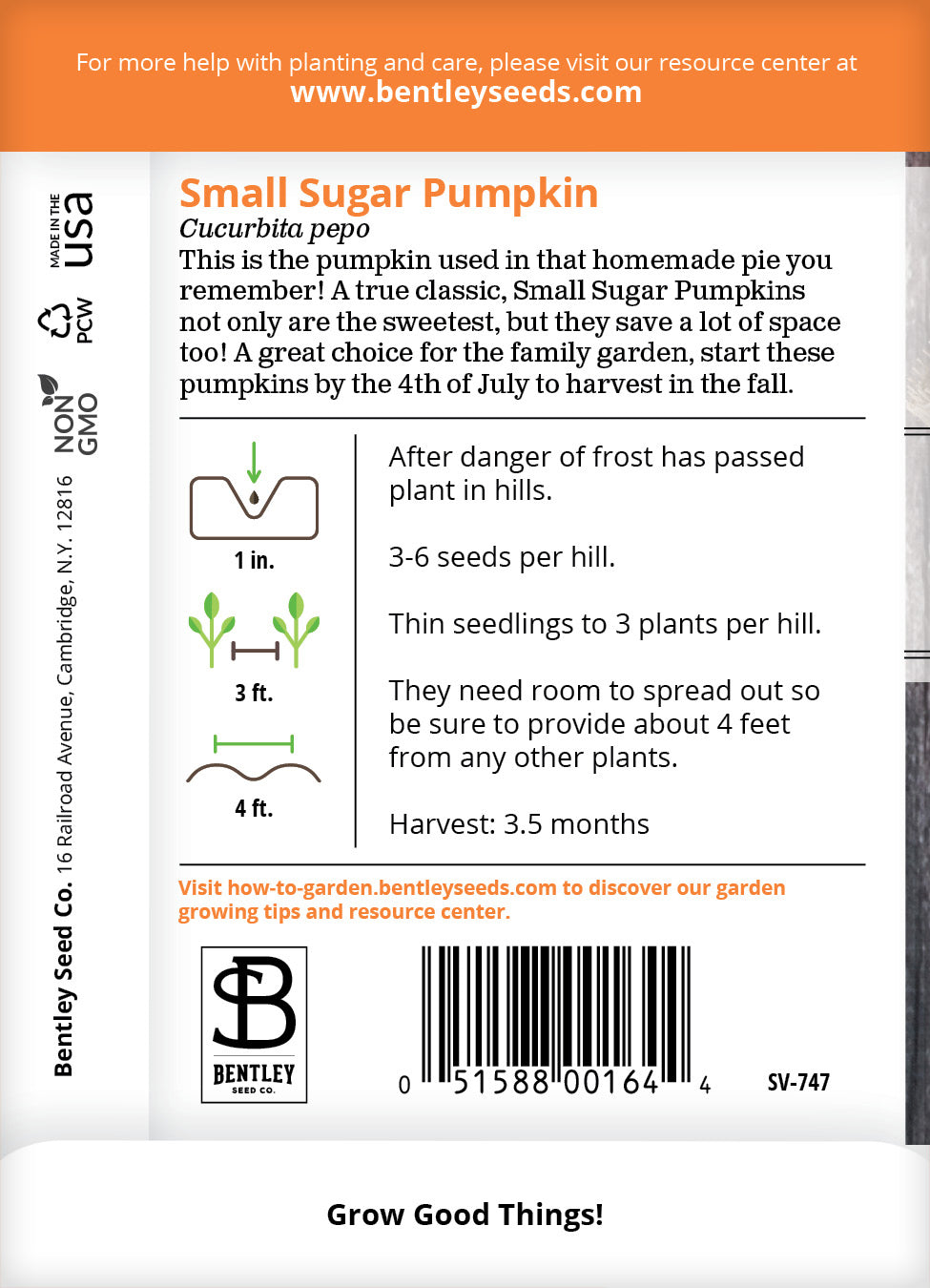 Pumpkin, Small Sugar Seed Packets seed packet