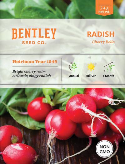 Radish, Cherry Belle Seed Packets flower seeds