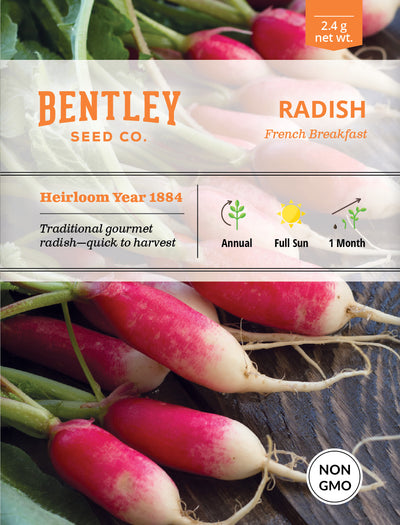 Radish, French Breakfast Seed Packets seed packet